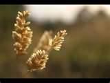 Seeders Bay pictures Seeders Bay pictures