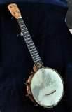 pictures of Seeders Banjos