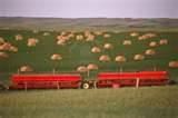 Seeders Canada images Seeders Canada images