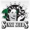 Seeds Program